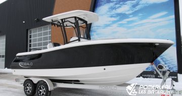 Robalo R230